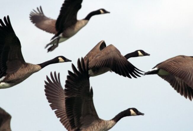 Migrating from QuickBooks to ERP? The why, when, and how.