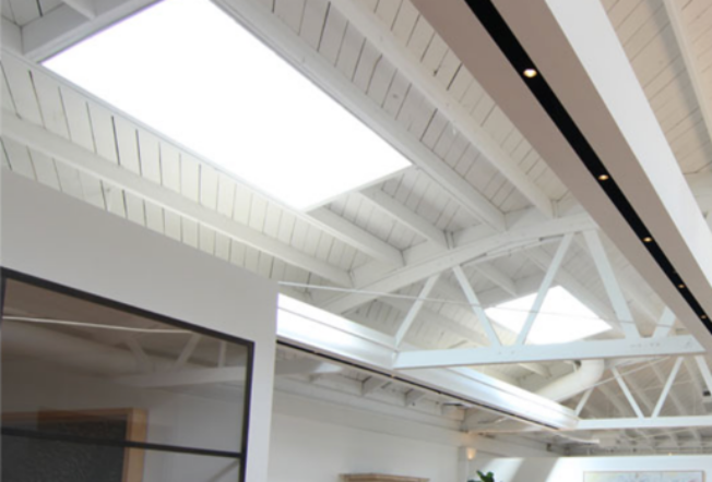 How Light & Green cut costs by 30% and achieved 100% uptime with Priority Cloud ERP
