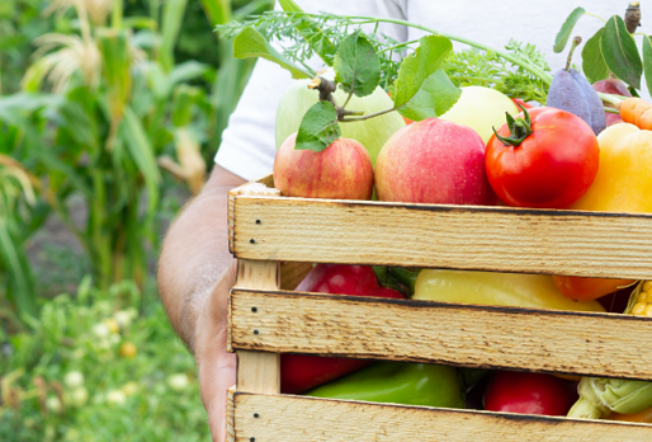 T & F gained reliable traceability and real-time sales order management, and inventory visibility