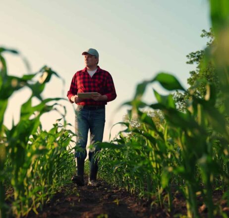agriculture