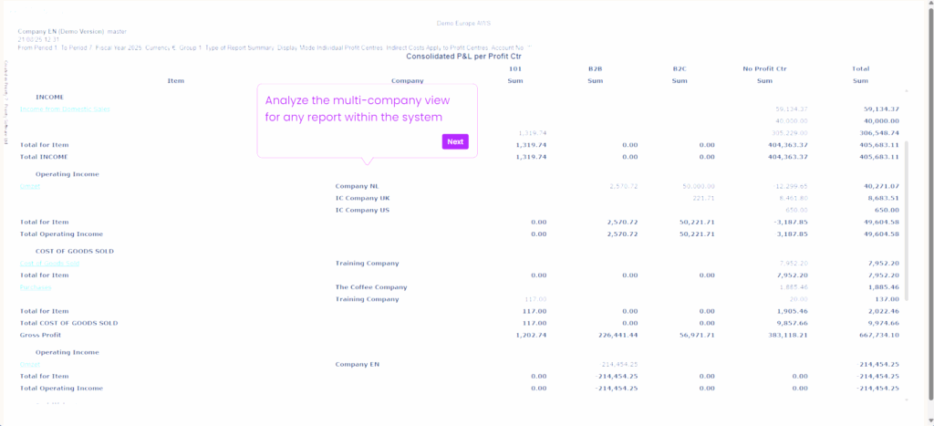 multi company screen 6