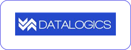 Data Logics Logo