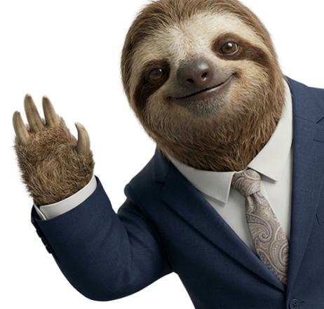 Sloth Peeking And Waving Hello 202607090900 Recovered 2